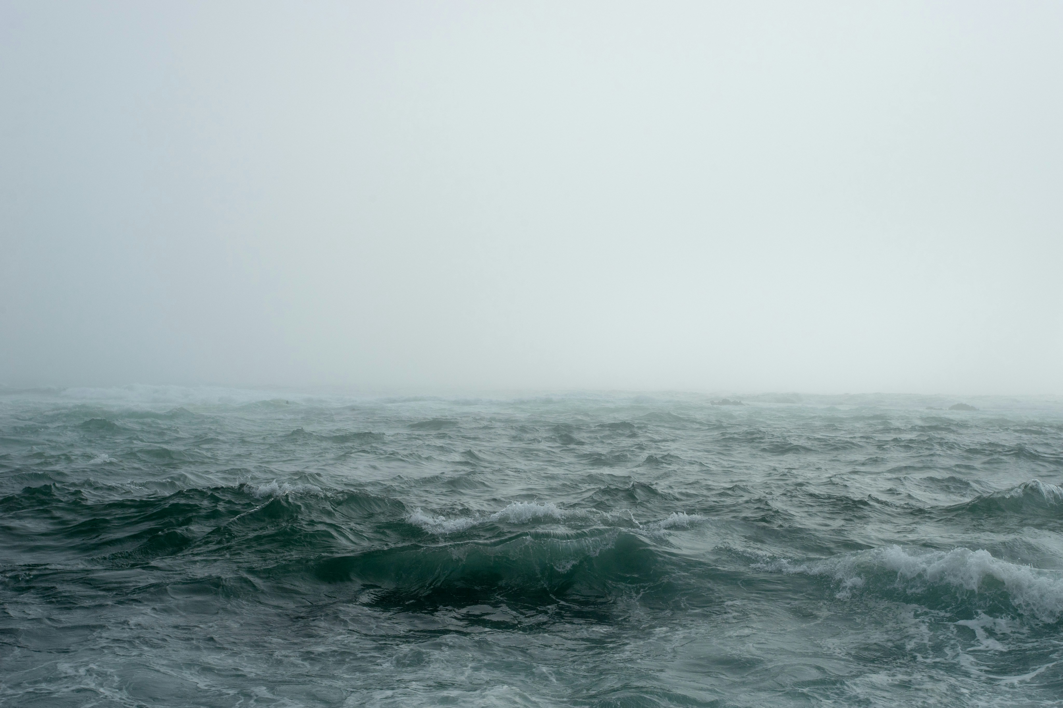 The Wind and the waves